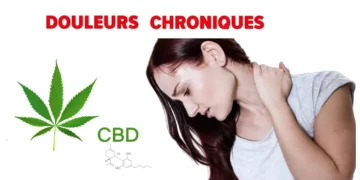 Le CBD est-il Efficace pour la Gestion de la Douleur en 2024 ?