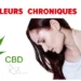 Le CBD est-il Efficace pour la Gestion de la Douleur en 2024 ?