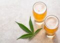 Le CBD peut-il Aider avec la Dépendance à l’Alcool en 2024?