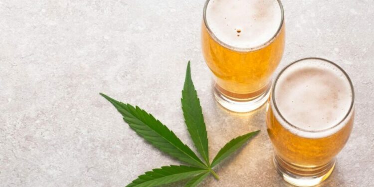 Le CBD peut-il Aider avec la Dépendance à l’Alcool en 2024?