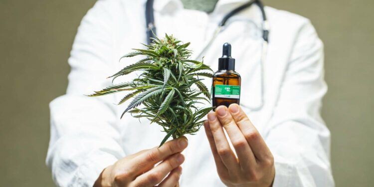 L'huile de CBD peut-elle aider contre les crises ?