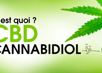 Qu’est-ce que le CBD ? Comprendre le Cannabidiol et ses Potentiels Bénéfices