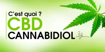 Qu’est-ce que le CBD ? Comprendre le Cannabidiol et ses Potentiels Bénéfices