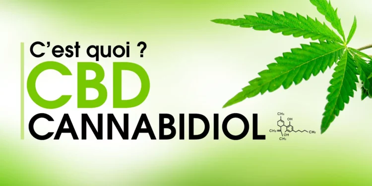 Qu’est-ce que le CBD ? Comprendre le Cannabidiol et ses Potentiels Bénéfices