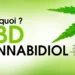 Qu’est-ce que le CBD ? Comprendre le Cannabidiol et ses Potentiels Bénéfices