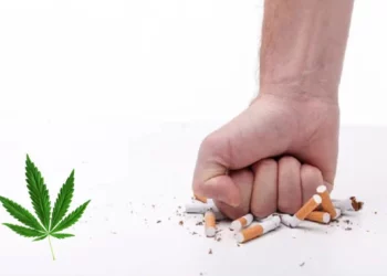 CBD e-liquides : Cela peut-il m’aider à arrêter de fumer en 2024 ?