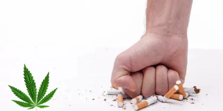 CBD e-liquides : Cela peut-il m’aider à arrêter de fumer en 2024 ?