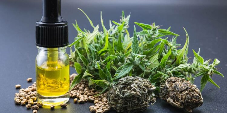 Les 5 Meilleures Façons de Consommer du CBD en 2024