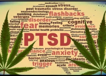 CBD pour le trouble de stress post-traumatique (TSPT)