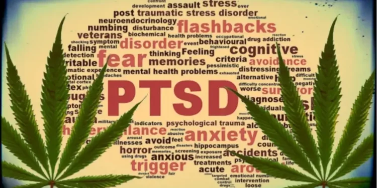 CBD pour le trouble de stress post-traumatique (TSPT)