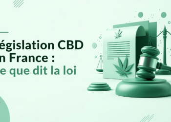 Législation CBD en France : Ce que dit la loi