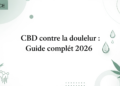CBD contre la douleur : Guide complet 2026