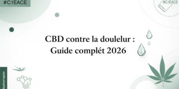 CBD contre la douleur : Guide complet 2026
