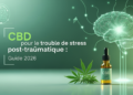 CBD pour le trouble de stress post-traumatique : Guide 2026