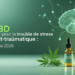 CBD pour le trouble de stress post-traumatique : Guide 2026