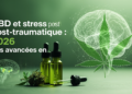 CBD et stress post-traumatique : Les avancées en 2026
