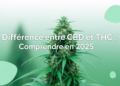 Différence entre CBD et THC : Comprendre en 2025