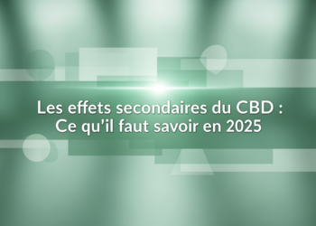 Les effets secondaires du CBD : Ce qu&rsquo;il faut savoir en 2025