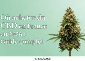Où acheter du CBD en France en 2026 : Guide complet