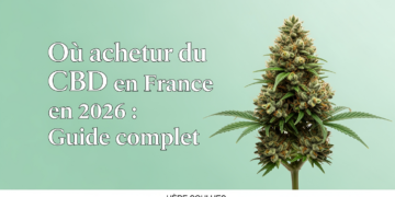Où acheter du CBD en France en 2026 : Guide complet