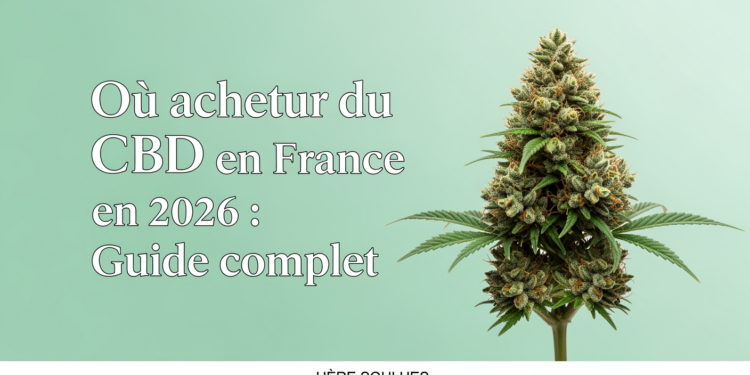 Où acheter du CBD en France en 2026 : Guide complet