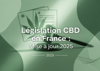 Législation CBD en France : Mise à jour 2025