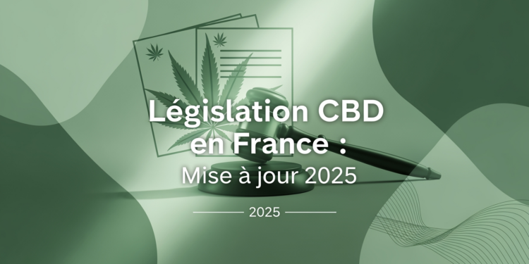 Législation CBD en France : Mise à jour 2025