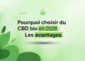 Pourquoi choisir du CBD bio en 2026 : Les avantages