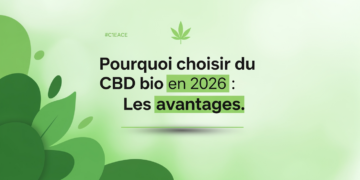 Pourquoi choisir du CBD bio en 2026 : Les avantages